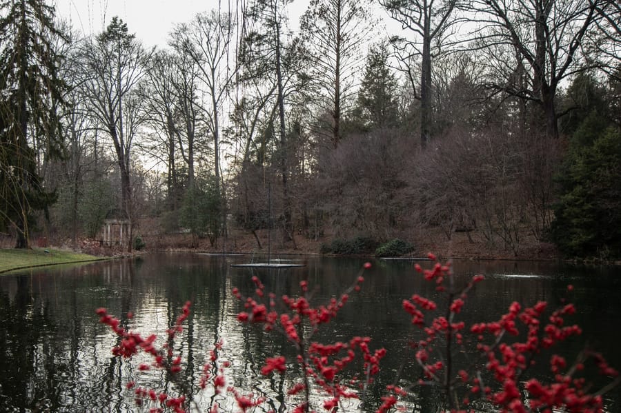 Winter Wonder at Longwood Gardens