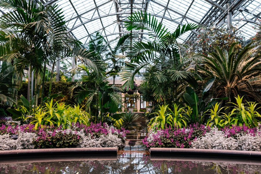 Winter Wonder at Longwood Gardens