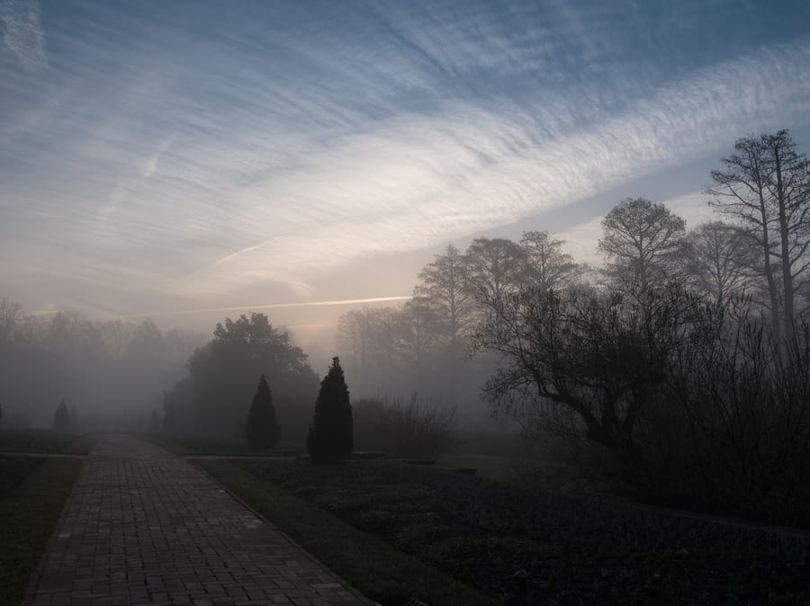 Winter Wonder at Longwood Gardens