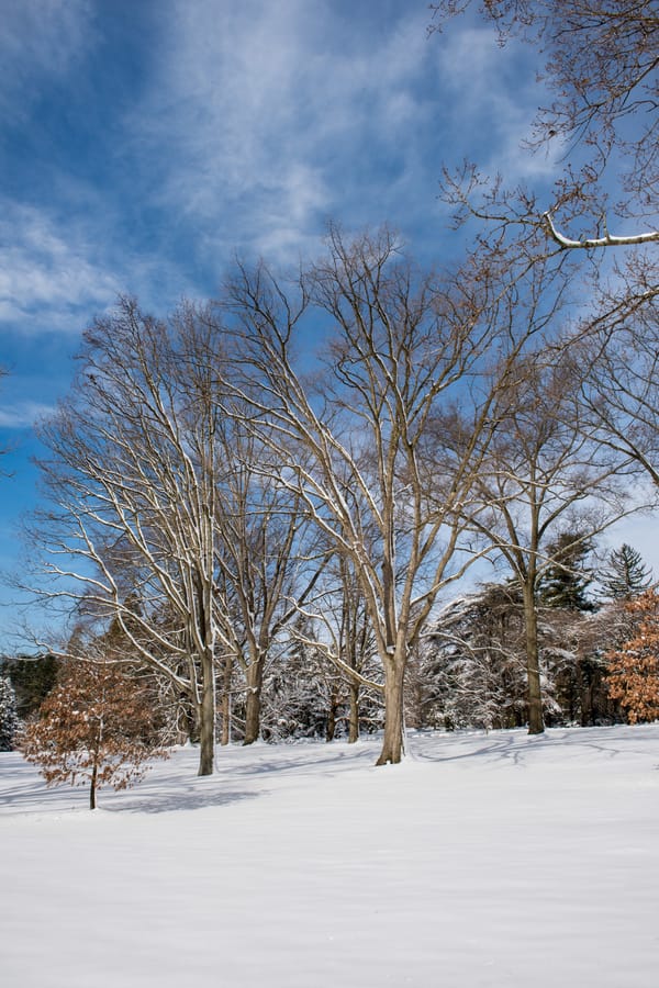 Winter Wonder at Longwood Gardens