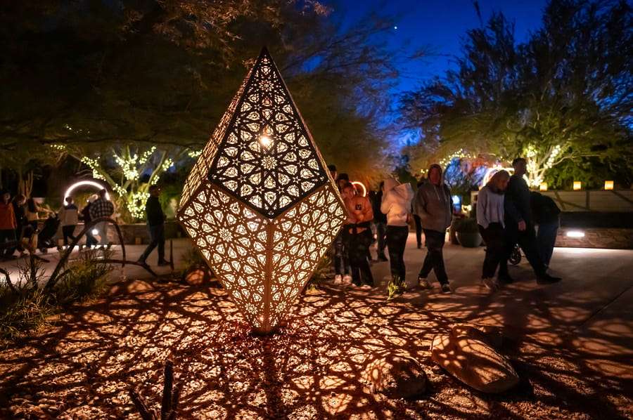 Phoenix - Desert Botanical Gardens Light Bloom_credit An Pham_01-25(5)