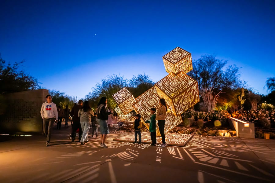 Phoenix - Desert Botanical Gardens Light Bloom_credit An Pham_01-25(2)