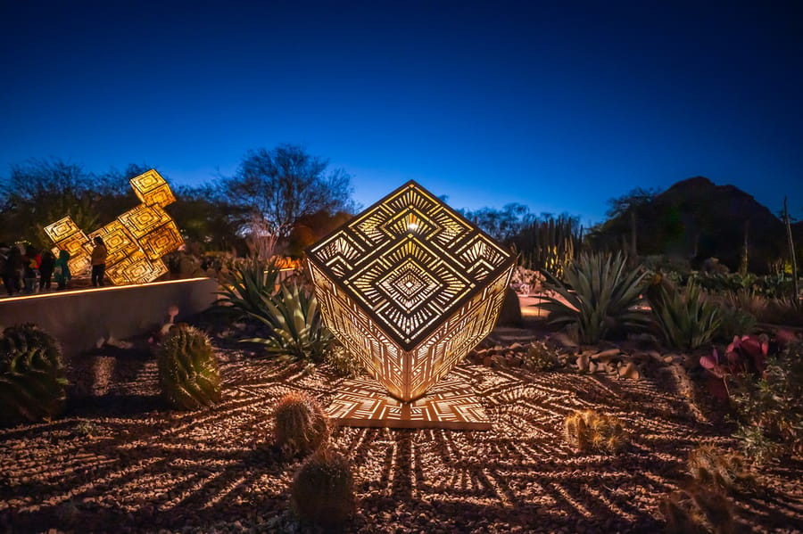 Phoenix - Desert Botanical Gardens Light Bloom_credit An Pham_01-25(1)