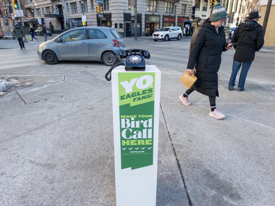 Bird Call