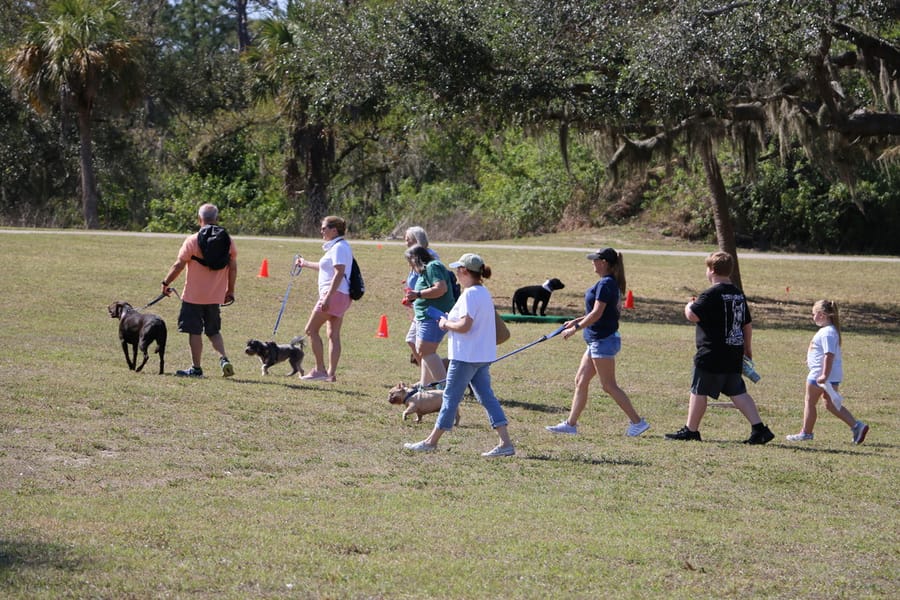 Woofstock_20250208 (9)