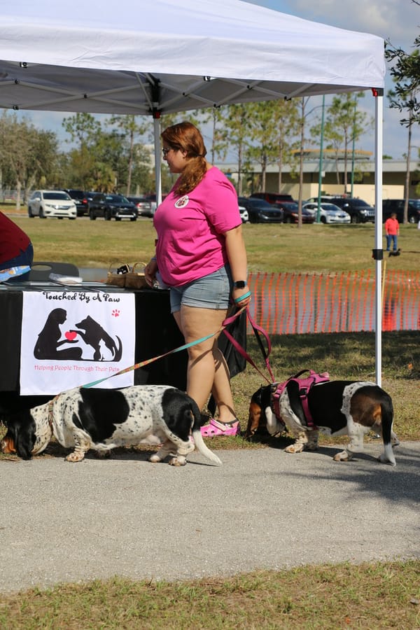 Woofstock_20250208 (19)