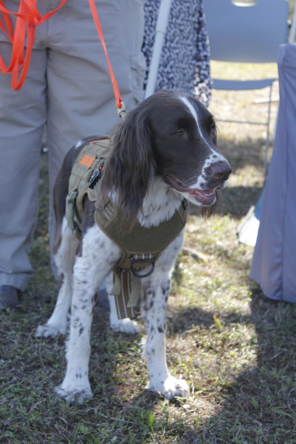 Woofstock_20250208 (50)
