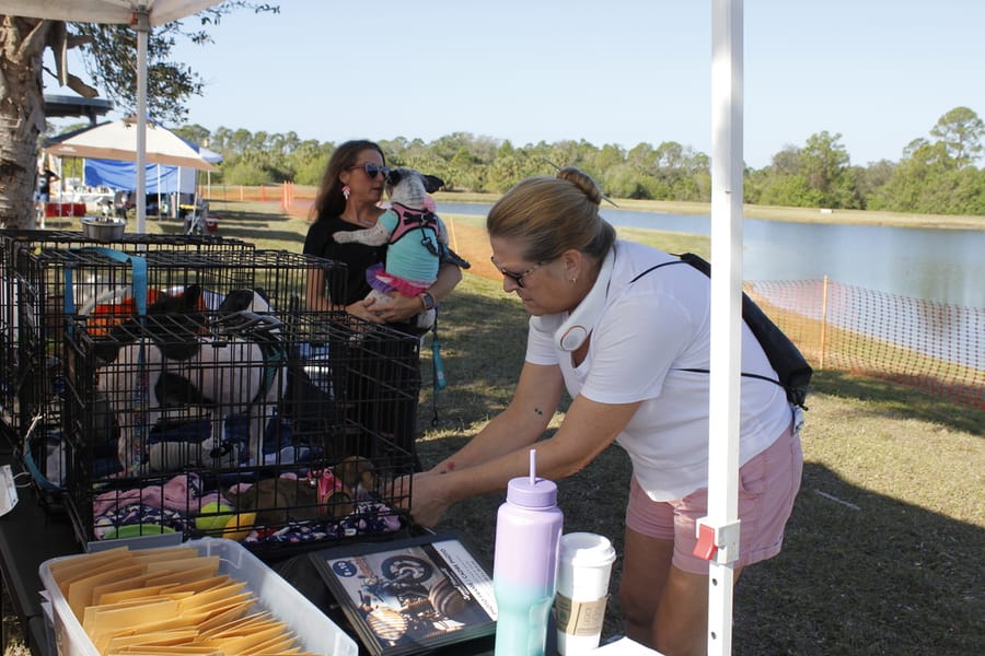 Woofstock_20250208 (44)