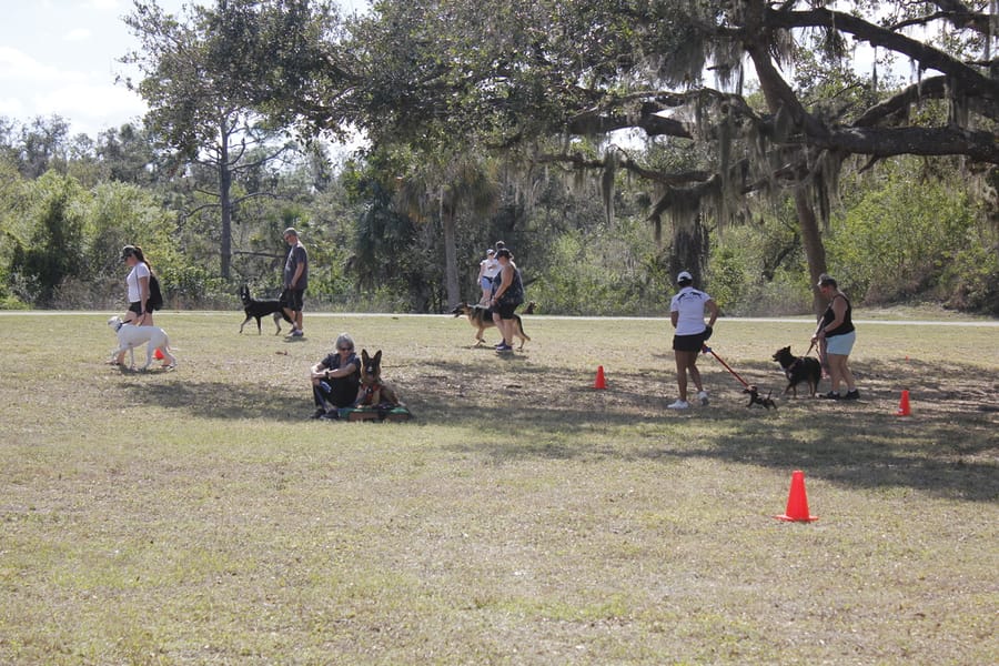 Woofstock_20250208 (82)