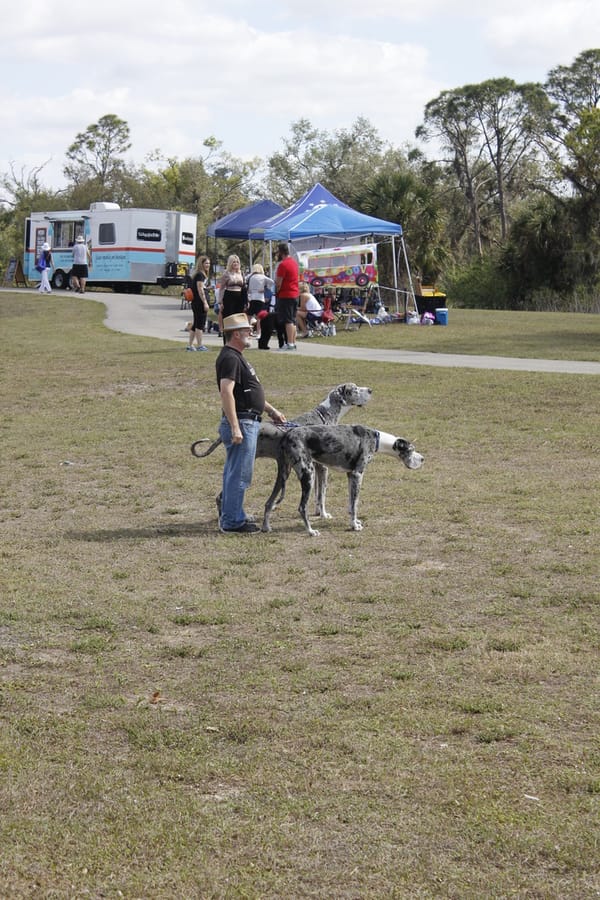 Woofstock_20250208 (70)