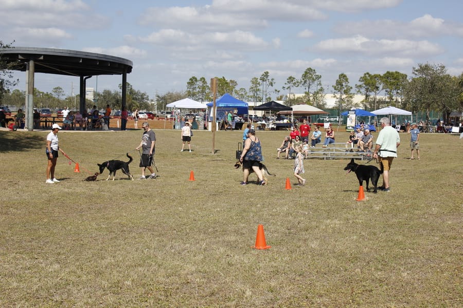 Woofstock_20250208 (86)