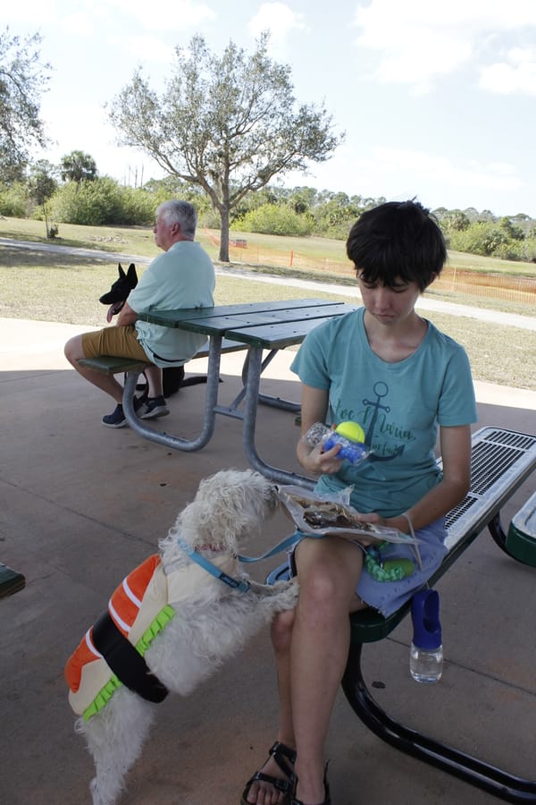 Woofstock_20250208 (76)