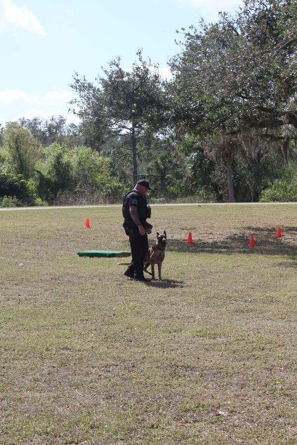 Woofstock_20250208 (1)
