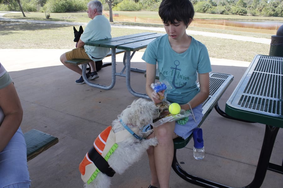 Woofstock_20250208 (75)