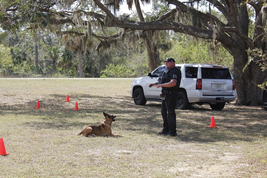 Woofstock_20250208 (60)