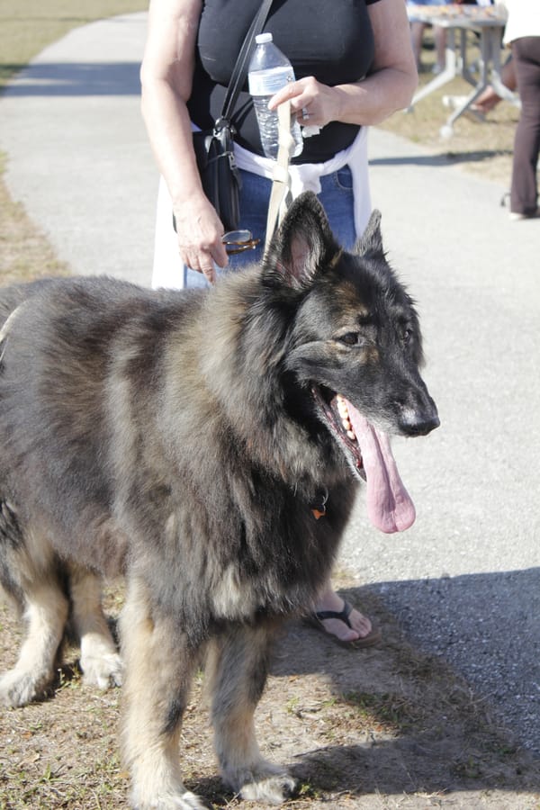 Woofstock_20250208 (51)