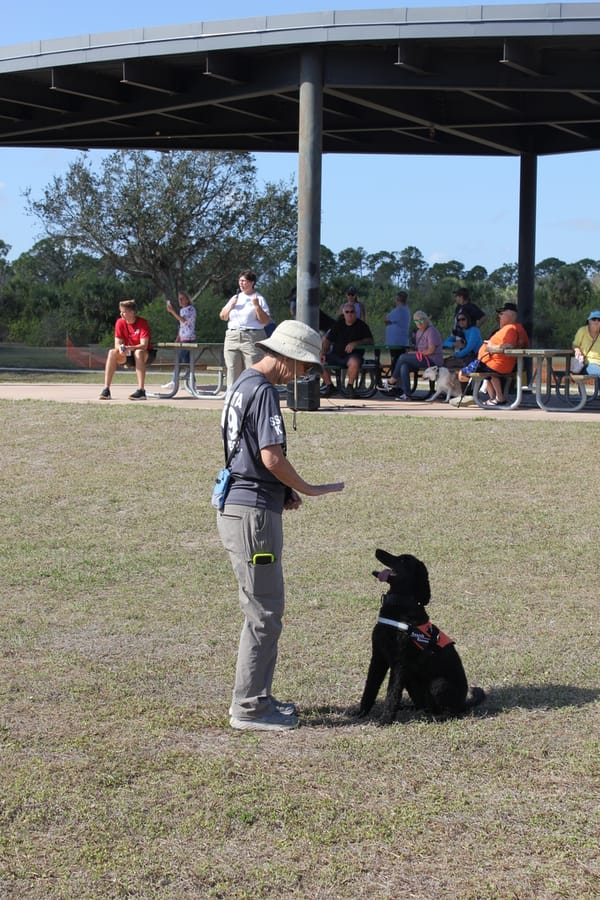 Woofstock_20250208 (111)