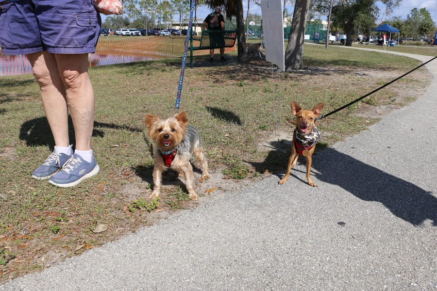 Woofstock_20250208 (22)
