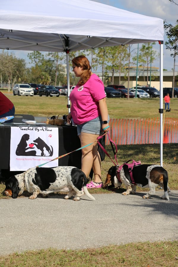 Woofstock_20250208 (18)