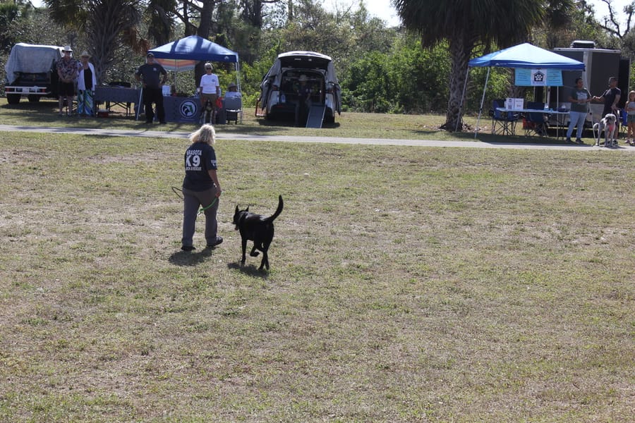 Woofstock_20250208 (113)