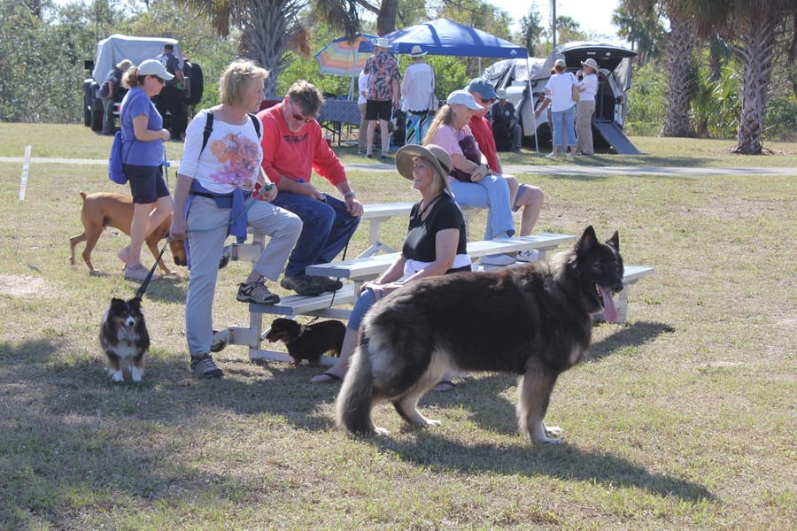 Woofstock_20250208 (108)