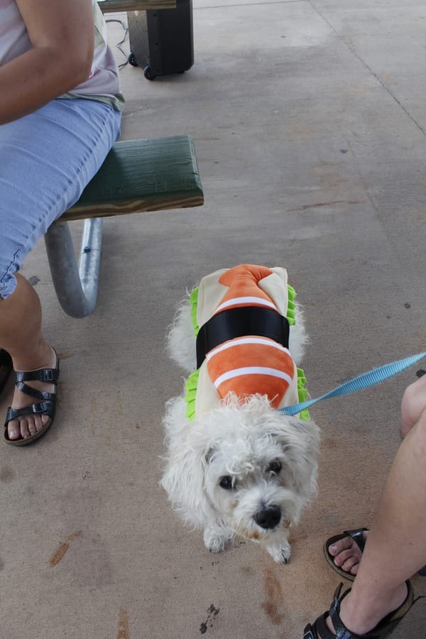 Woofstock_20250208 (77)