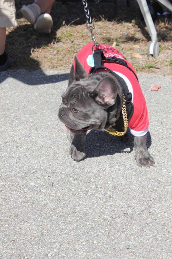 Woofstock_20250208 (106)