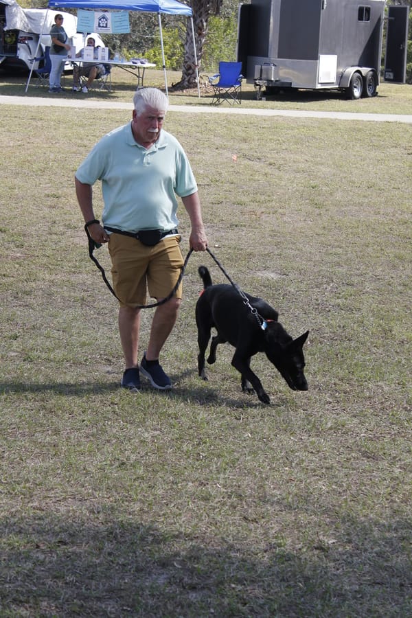 Woofstock_20250208 (80)