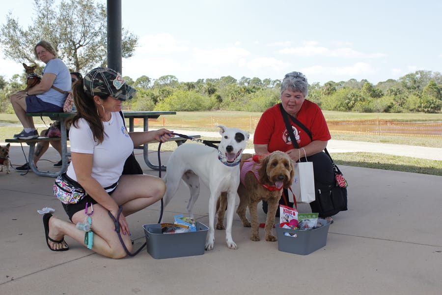 Woofstock_20250208 (72)