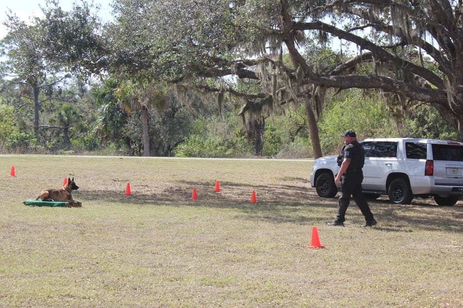Woofstock_20250208 (118)