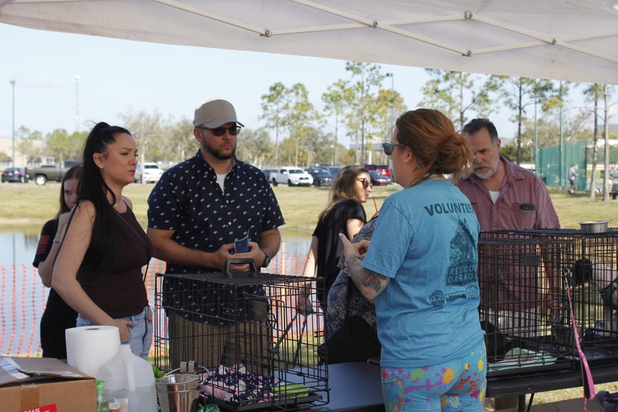 Woofstock_20250208 (55)