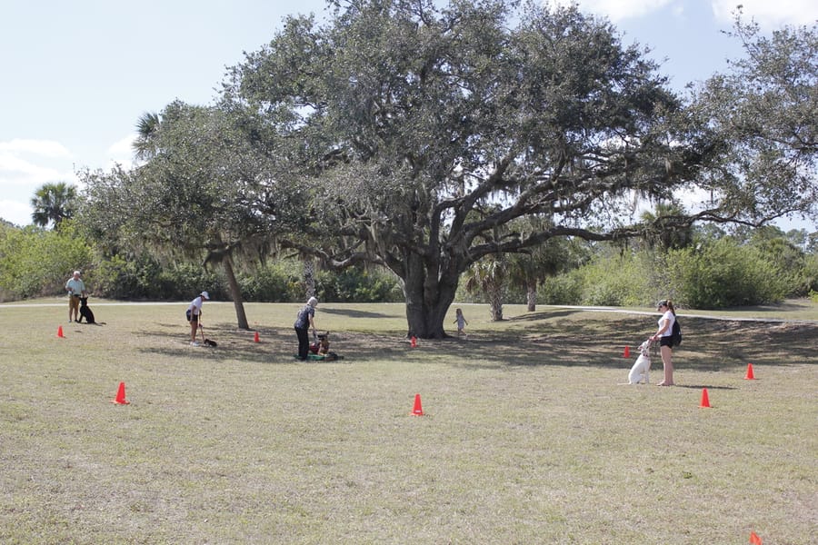 Woofstock_20250208 (83)