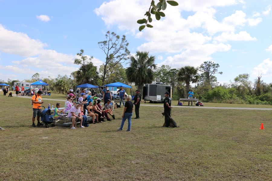 Woofstock_20250208 (34)