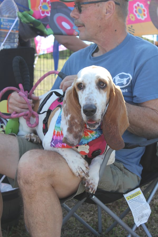 Woofstock_20250208 (98)
