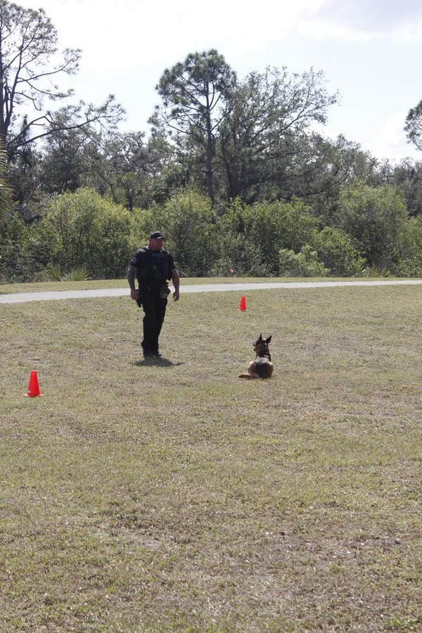 Woofstock_20250208 (59)