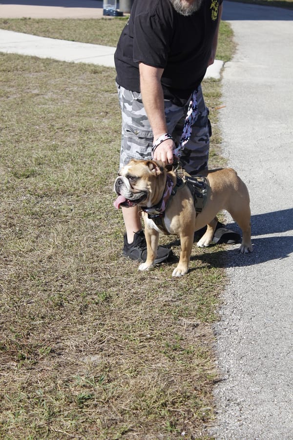 Woofstock_20250208 (52)