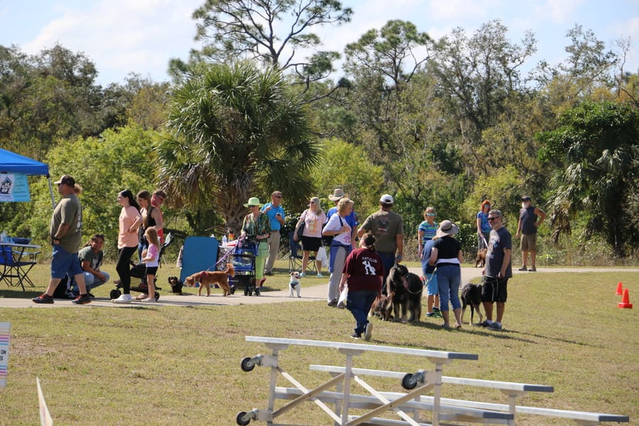 Woofstock_20250208 (8)