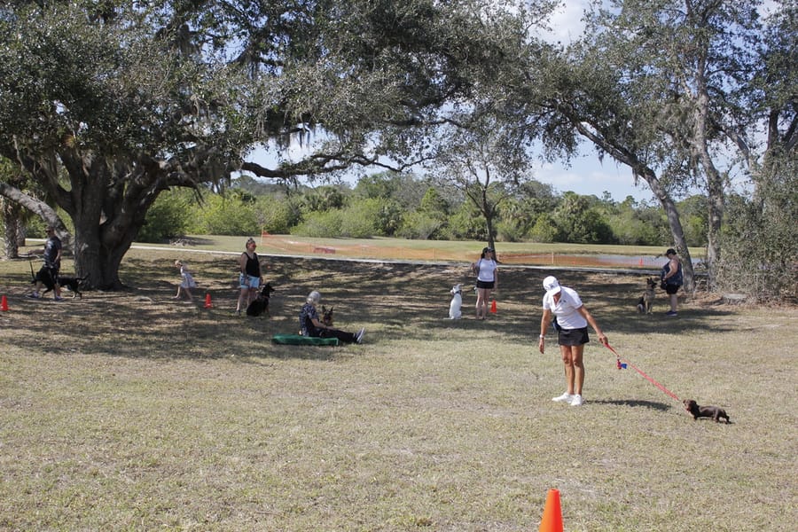 Woofstock_20250208 (87)