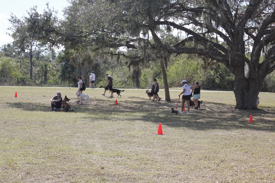 Woofstock_20250208 (81)