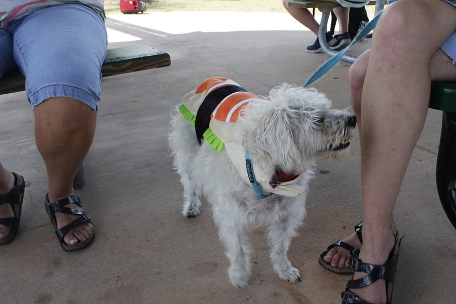 Woofstock_20250208 (79)
