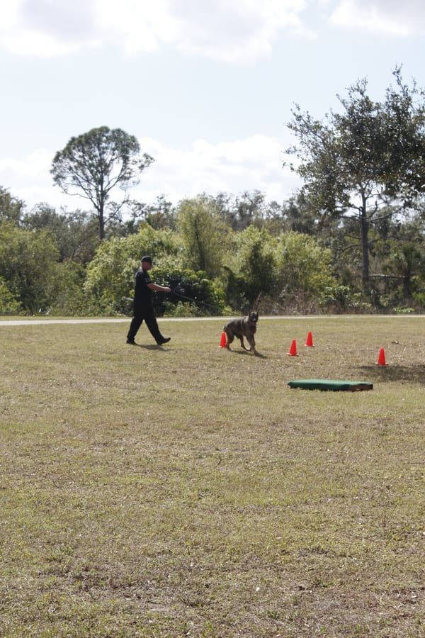 Woofstock_20250208 (67)