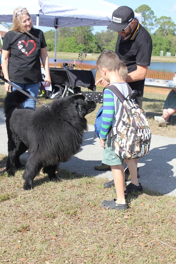 Woofstock_20250208 (91)