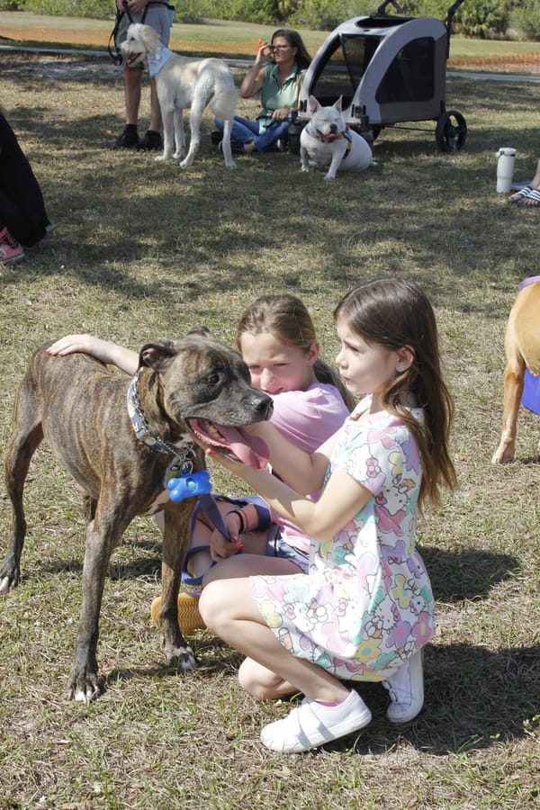 Woofstock_20250208 (63)