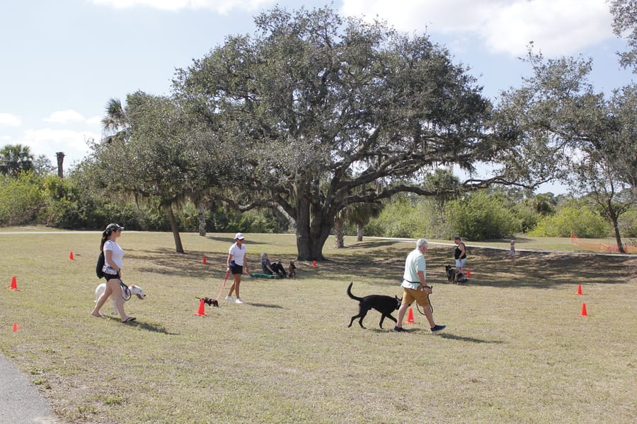 Woofstock_20250208 (85)