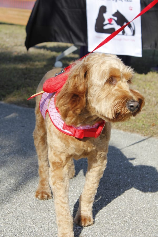 Woofstock_20250208 (45)