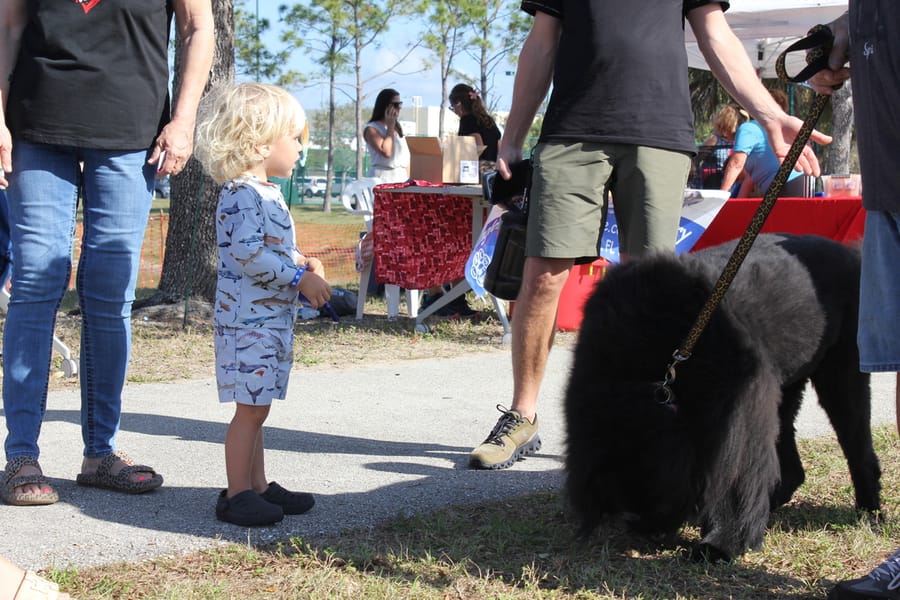 Woofstock_20250208 (92)