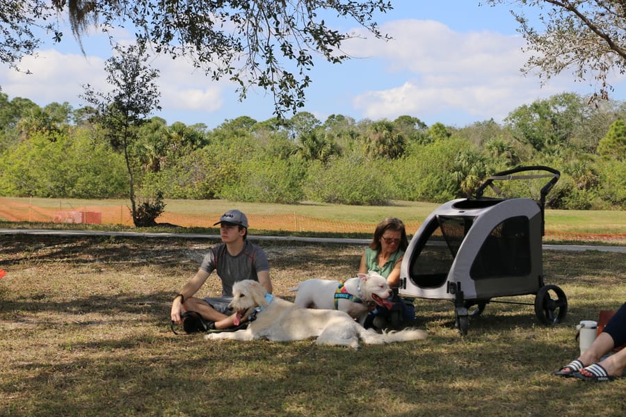 Woofstock_20250208 (29)