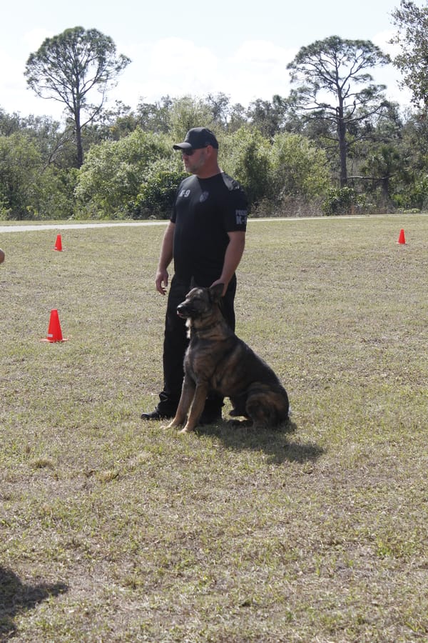 Woofstock_20250208 (65)