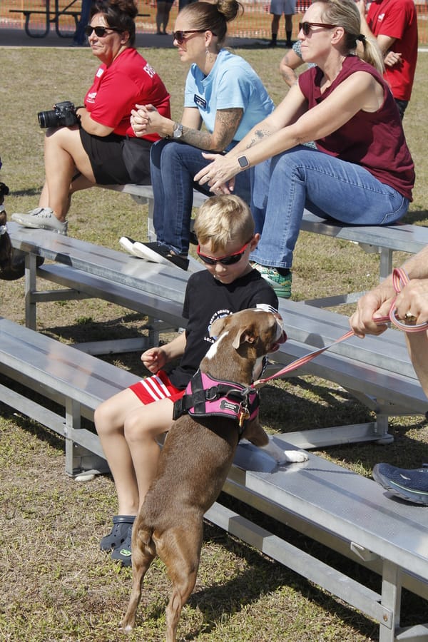 Woofstock_20250208 (88)