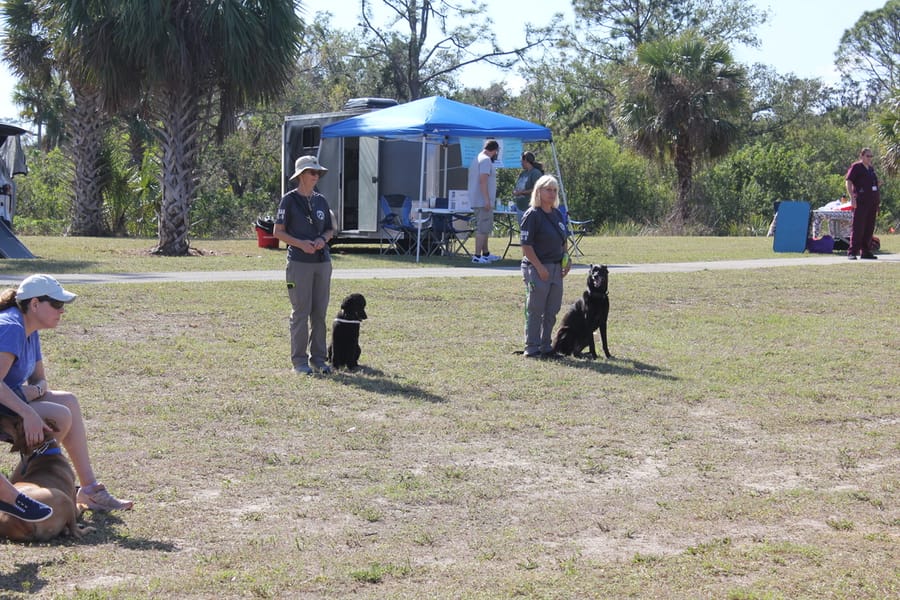 Woofstock_20250208 (110)
